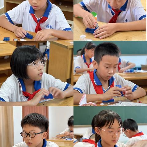 五年级上｜科学探索课程记录