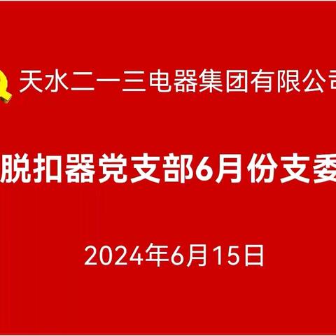 脱扣器党支部2024年6月份“三会一课”暨主题党日活动纪实