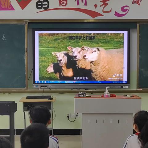 研究课：三年级下册第六单元《剪羊毛》作业设计研究课—屯昌小学朱芸姗