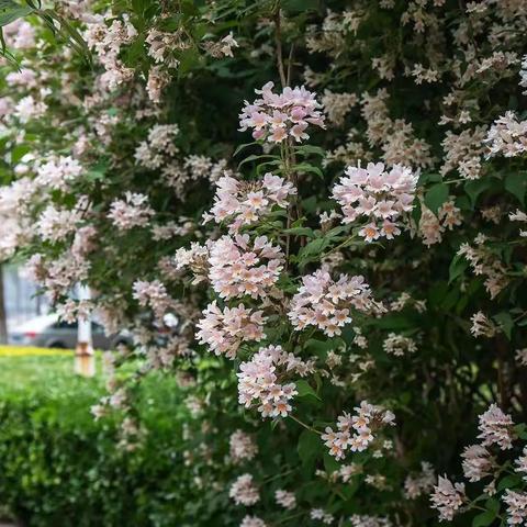 5月风采——22级汽修班