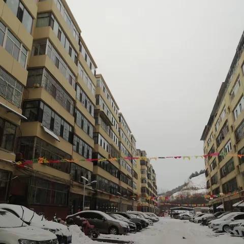 以雪为令清冰雪，为民服务显担当