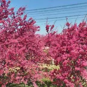 3.7女生节｜与时代共振展女生芳华