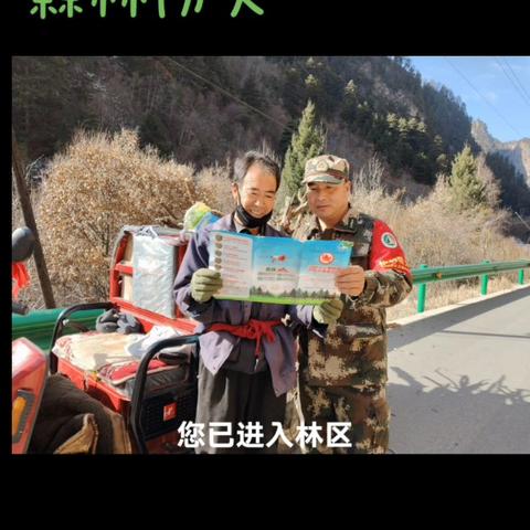 “秋冬草木干，防火要当先”——练珠桥林务所