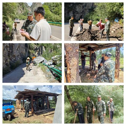 练珠桥林务所近期工作动态