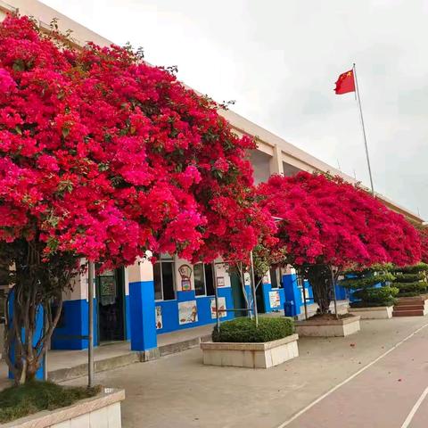活力校园，精彩一学期 ——马塘小学2025年春季期成长印记