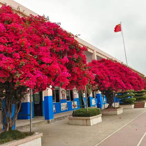 以研促教绽芳华，课堂焕彩展风采 ——马塘小学教研课亮点纷呈