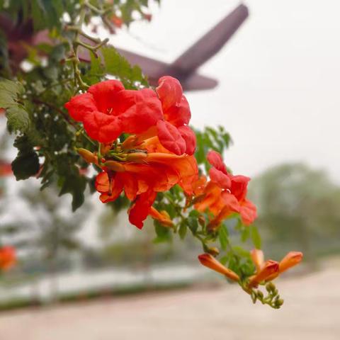 城里小学一（2）班陈奕馨暑期日习五字作品展示