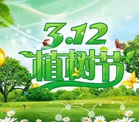 添新绿，种希望——澄迈县老城中心第四幼儿园2024年植树节主题教育活动