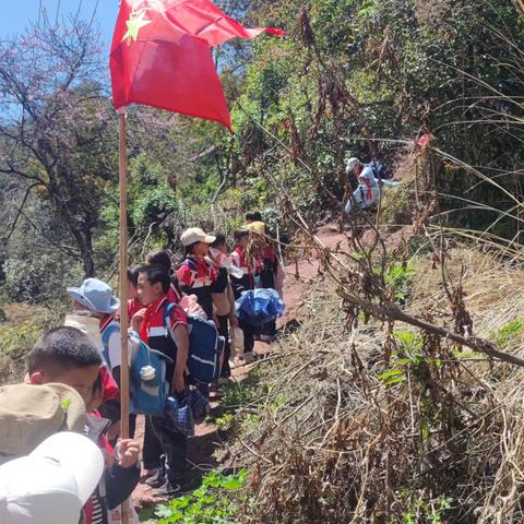 踏青出游，不负春光三胜小学三年级班春游活动记录