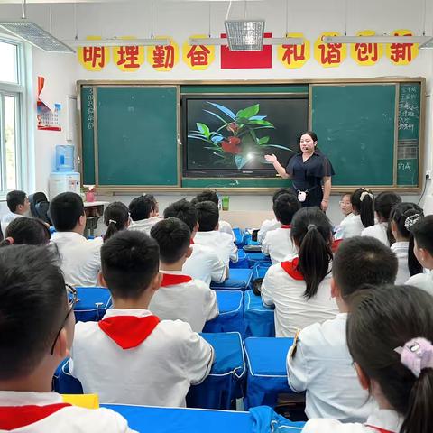 劳动显身手 硕果结盈枝——西门大街小学四年级种植凤仙花实践活动