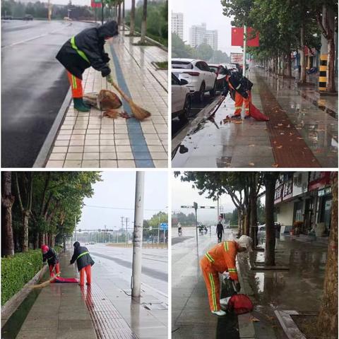 秋雨中，最美的那一抹“橙光”