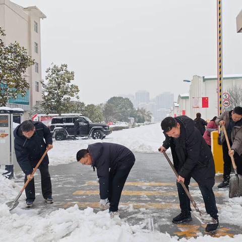 党员青年风雪中显担当