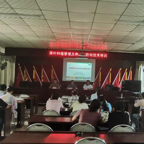 南开乡开展茶叶种植管理与病虫害防治技术培训