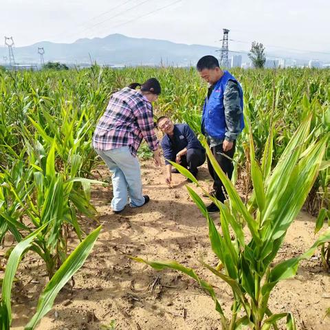 长春村9月网格员郑向伟工作汇报