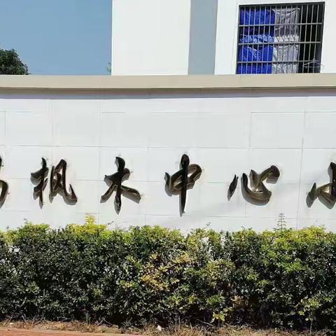 树立安全意识 ，共建和谐校园——枫木中心小学第12周安全教育