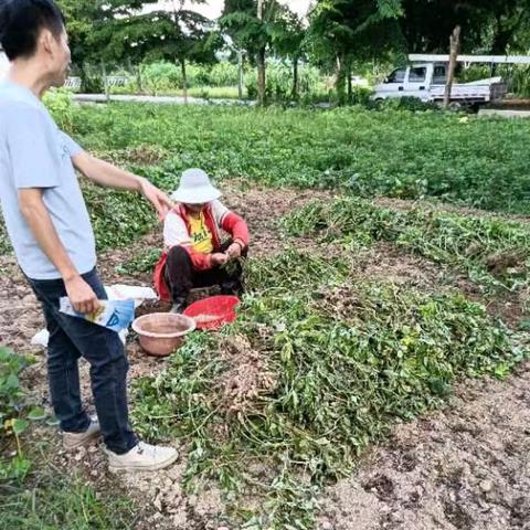 那大镇尖岭农场开展秸秆禁烧巡查工作