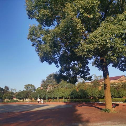 ❄️【稚子弄冰】冬日童趣，亲子同乐❄️