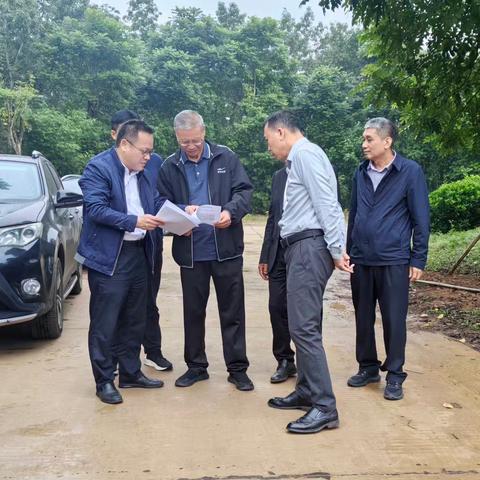 蒋明清主席到大成镇调研产业发展和乡道建设工作