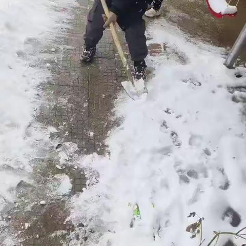 今冬初雪，美的不止雪景   花园小学