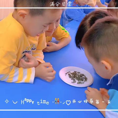 毅南幼儿园中段第9周知识反馈✨