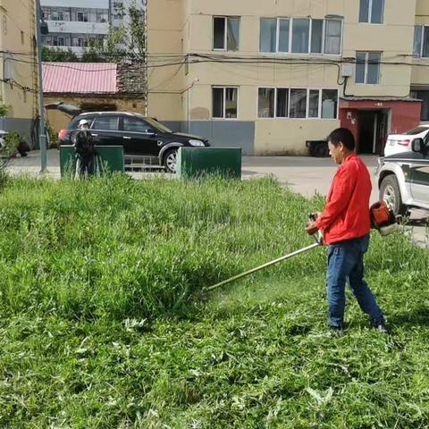 炎炎夏日杂草生  保洁工人挥汗忙