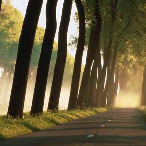 多读古诗好处多（二）