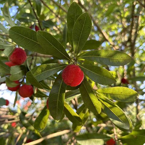 合兴新城物业6月工作简报