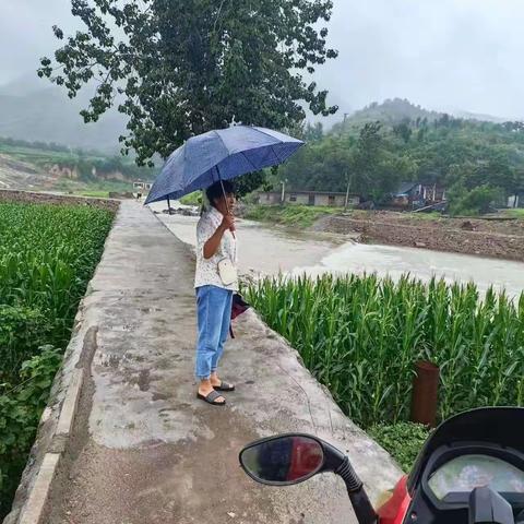 塔岗村“三零”创建