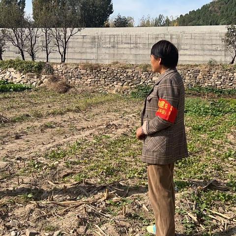 塔岗村“三零”创建工作