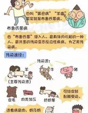 乡村两级共筑布病防控屏障