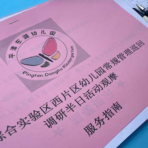 “调研零距离，指导促提升”——东湖幼儿园半日调研活动