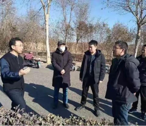 抢抓补植黄金期 绿地补植添新绿