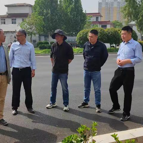 匠心补植添新绿 道路焕颜展生机