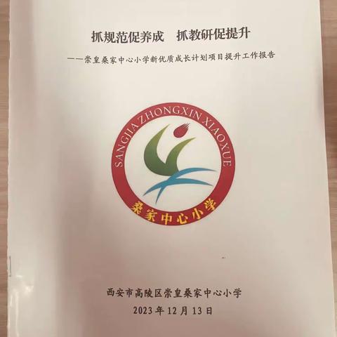 抓规范促质量 抓教研促提升——西安市高陵区崇皇桑家中心小学