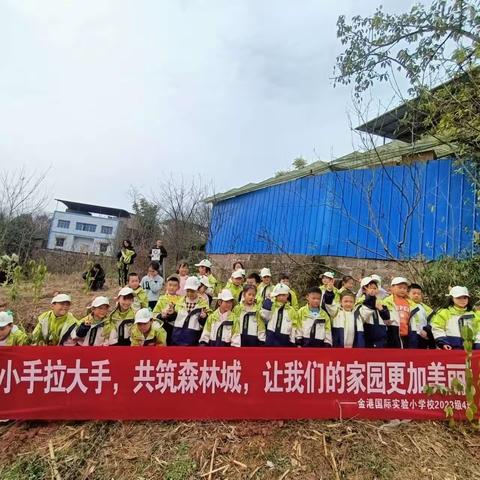 金港国际实验小学2023级4班植树节活动