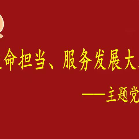 强化使命担当、服务发展大局——主题党日活动