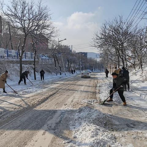 东洲区应急管理局 助力惠民社区除雪纪实