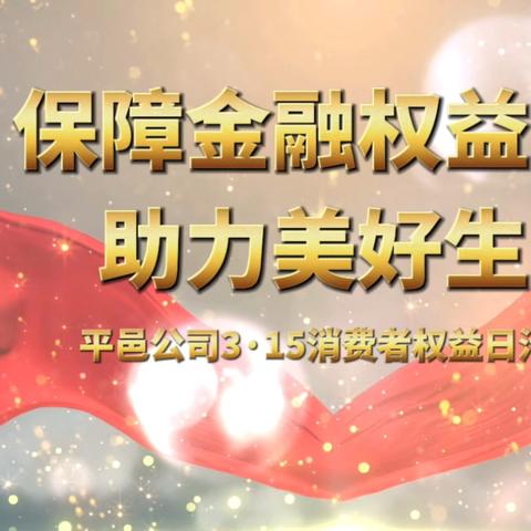 3·15中国人寿平邑公司进商圈：保障金融权益，助力美好生活