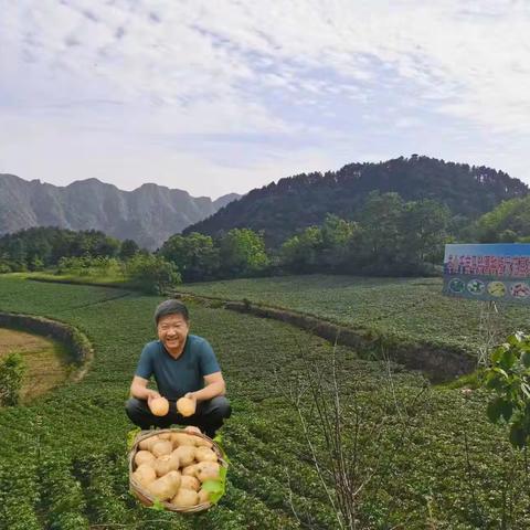 炎炎夏日，一颗安静的土豆在羊山等着你