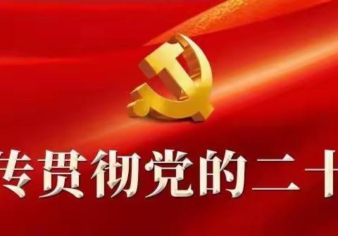 【“三抓三促”行动进行时】 收成镇：安全检查排隐患 多方联动保安全