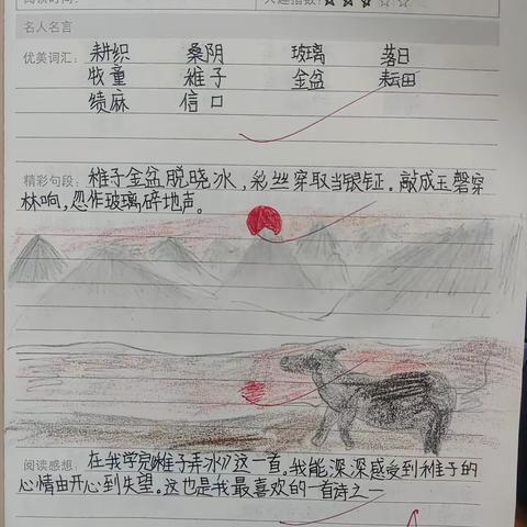 博鳌镇东坡小学五年级特色作业