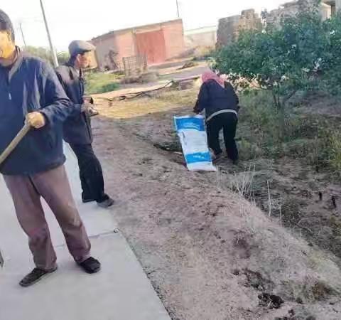 南湖镇南井村环境卫生集中整治