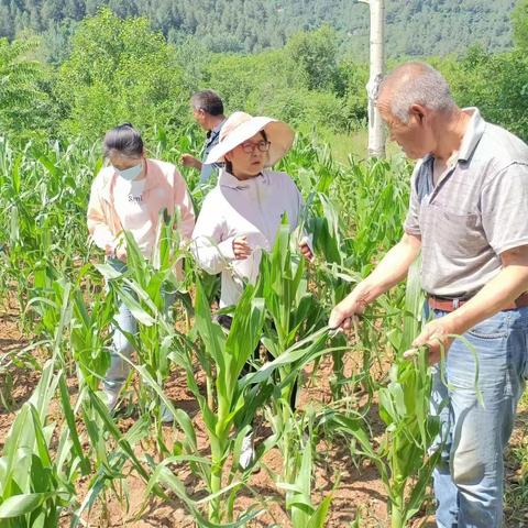 【农业农村局】韩城市农业农村局6月29日工作动态