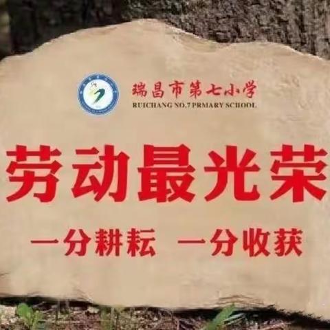 劳动励心志  实践促成长——记瑞昌市第七小学劳动教育实践活动