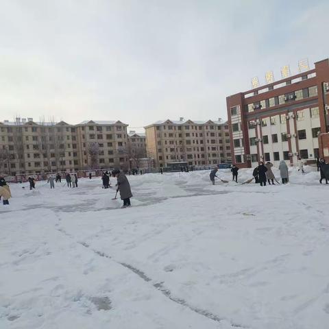 雪花纷飞扮校园，扫雪除冰暖人心——哈密市第六中学校园除雪