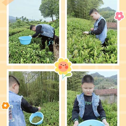 实验小学四年级劳动实践展示。劳动是神奇的，劳动是伟大的。劳动者用勤劳的双手和智慧，编织了这个五彩斑斓的世界，创造了人类的文明。让我在五一假期期间学会了成长和劳动。