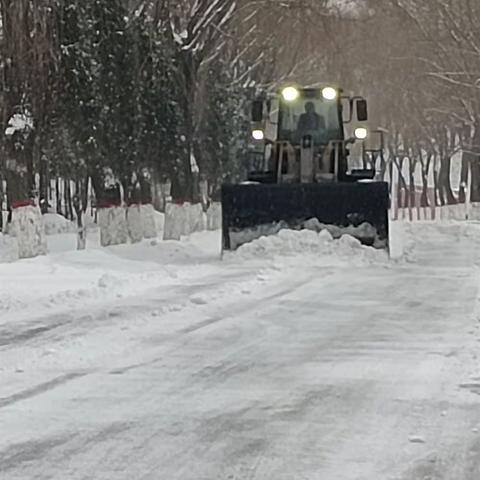 琚寨村第一网格员，贾慧尧，龙年的第一场雪让百姓出门不便，村委会找来了装载机进行清理道路积雪。