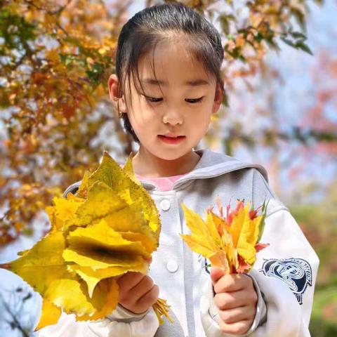 赏秋景  收秋实  品秋味 ——北票第一小学“拥抱秋天”实践活动