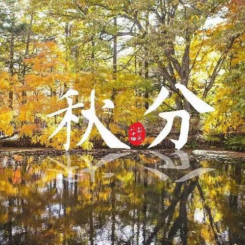 秋分贴 | 调节阴阳平衡 秋分免疫贴敷