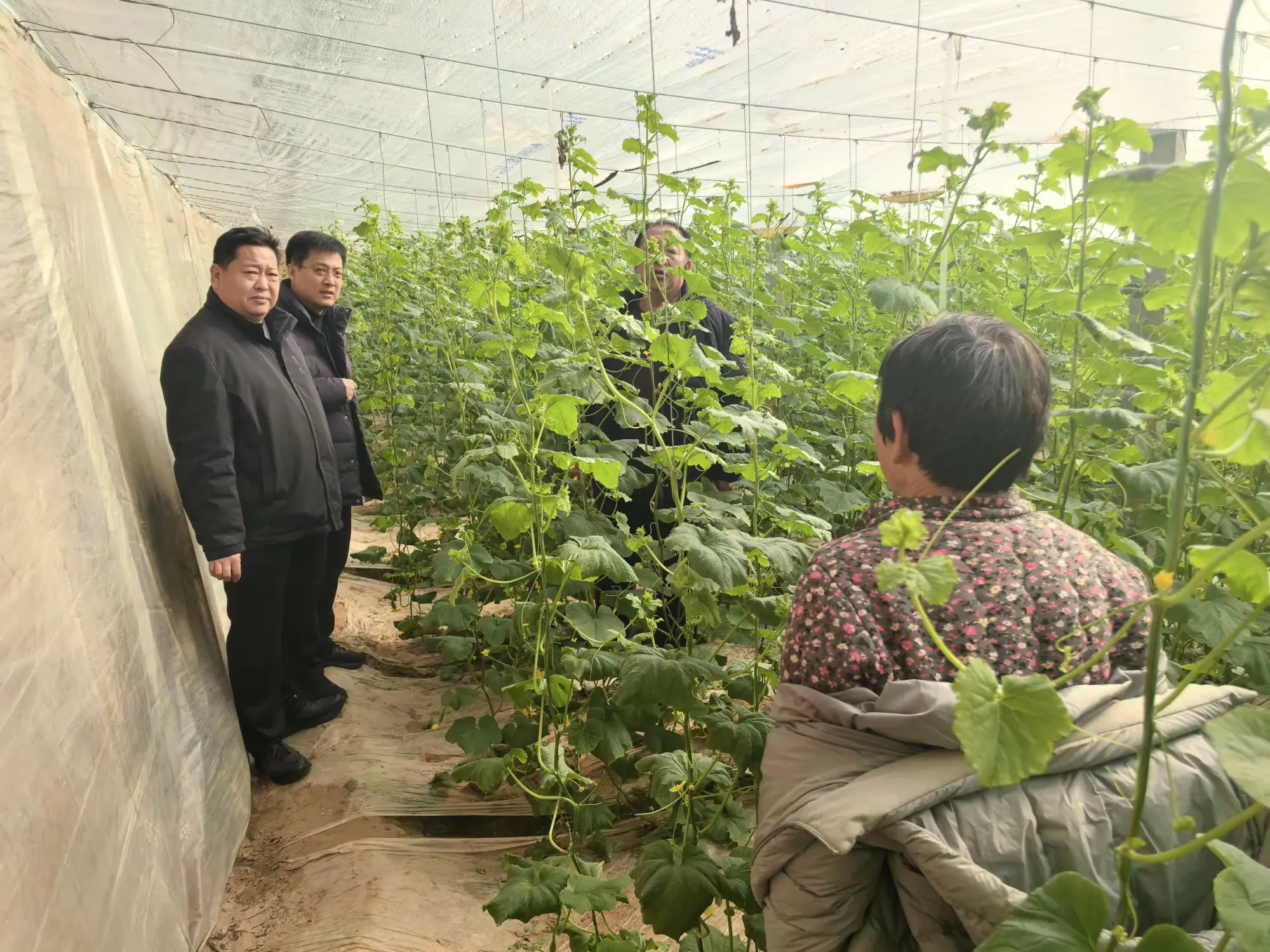 简篇-高官寨街道一周工作简报(1月12日-1月18日)